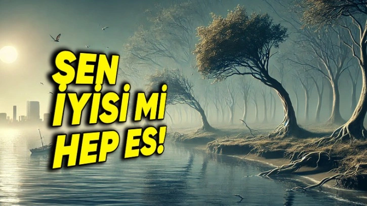 Dünyada Hiç Rüzgâr Esmeseydi Neler Olurdu?