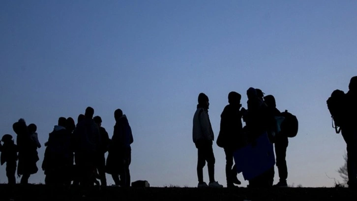 Düzensiz göçmenleri taşıyan tır sürücüsü tutuklandı