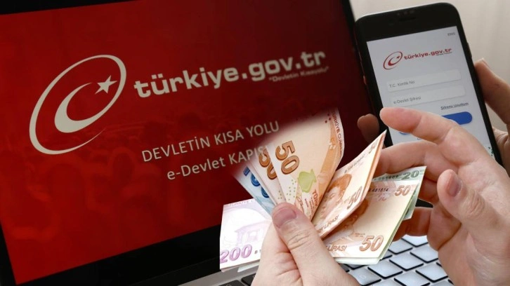 e-Devlet’te biriken para nasıl öğrenilir ve çekilir?