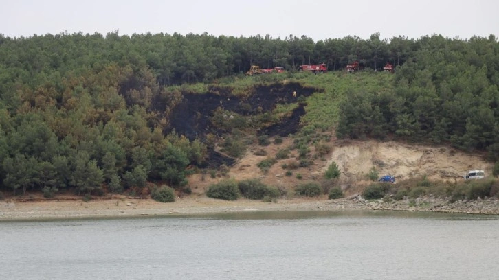 Edirne'deki orman yangını söndürüldü