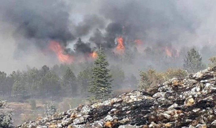 Elazığ’da orman yangını