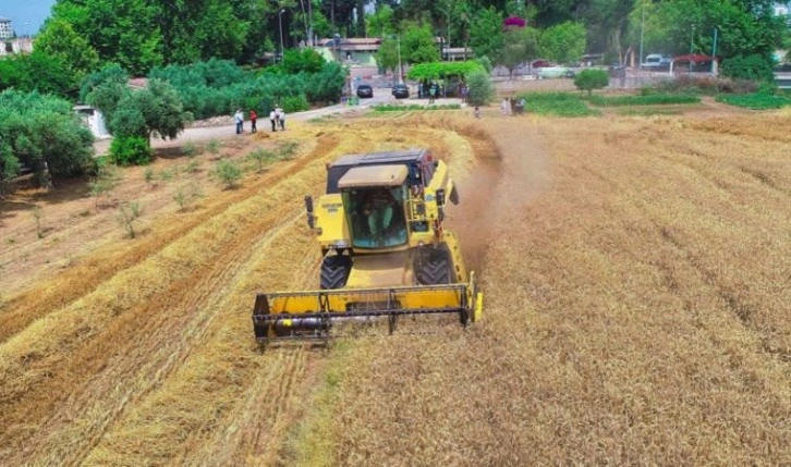 Emtia fiyatları artan dolar talebiyle geriledi