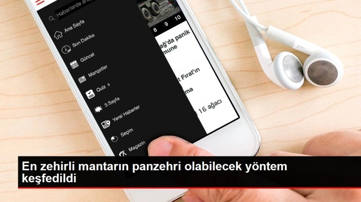 En zehirli mantarın panzehri olabilecek yöntem keşfedildi