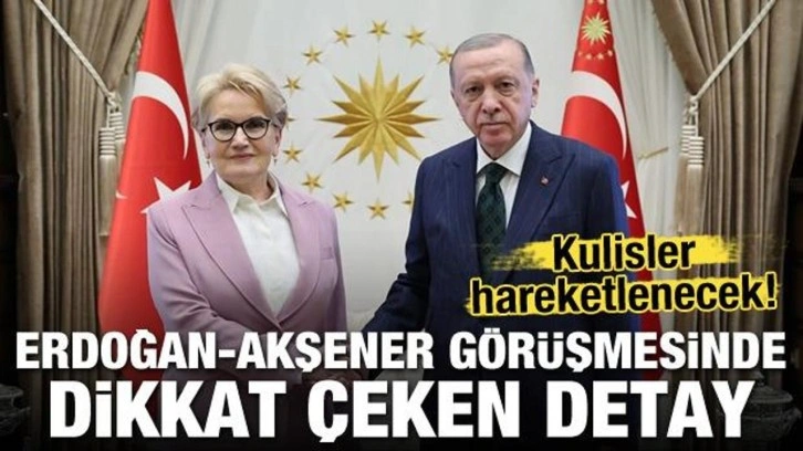 Erdoğan-Akşener görüşmesinde dikkat çeken detay ortaya çıktı! Kulisler hareketlenecek