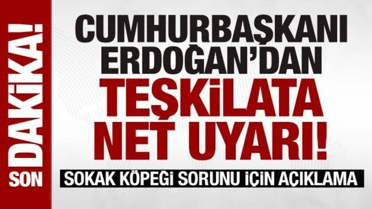 Erdoğan'dan teşkilata net uyarı! Sokak köpeği sorunu için açıklama