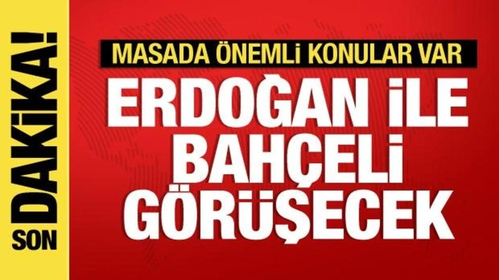 Erdoğan ile Bahçeli görüşecek