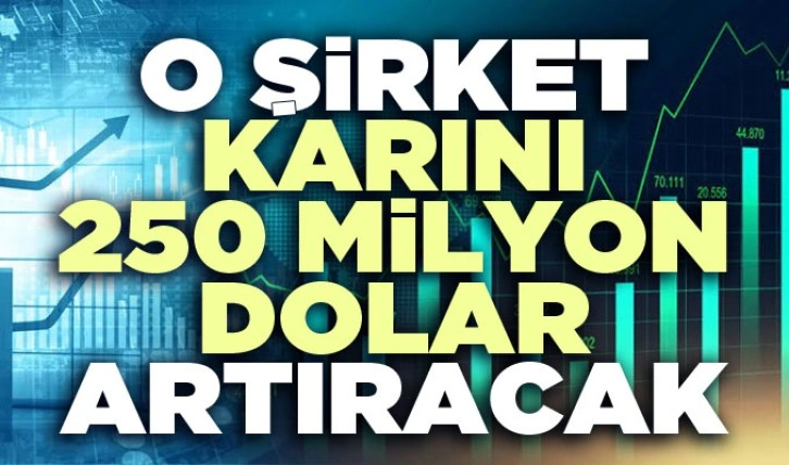 Ereğli Demir Çelik kârını 250 milyon dolar artıracak