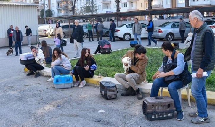 Evcil hayvan sahiplerinin 'çip taktırma' sırası: Saatlerce beklediler