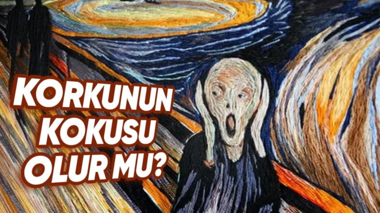 Farkında Olmadan Korkunun Kokusunu Alıyor Olabilir miyiz?