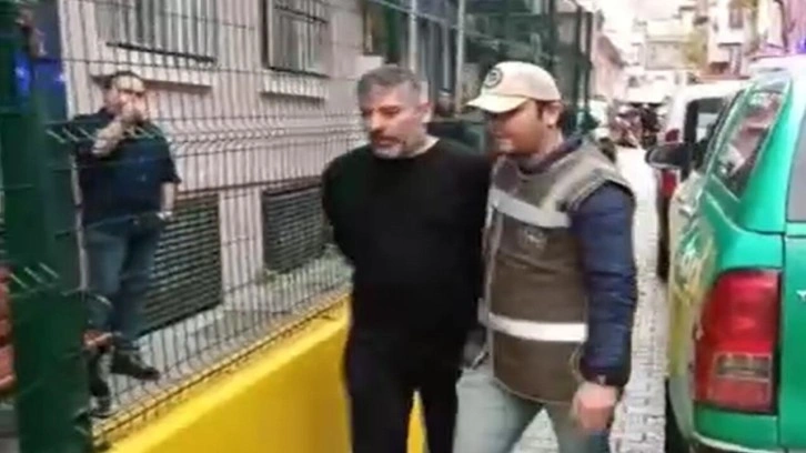 Fatih’te kedileri toplayan kişinin evinden çok sayıda ölü kedi çıktı