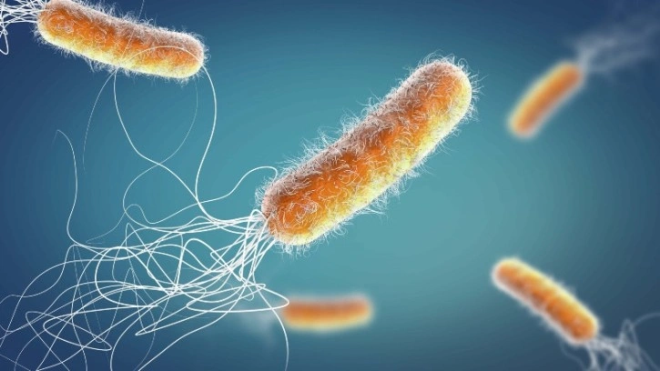 Faydalı Bakterilere Zarar Vermeyen Antibiyotik Keşfedildi