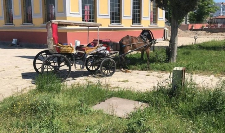 Faytoncuyu önce darbettiler ardından bıçakladılar