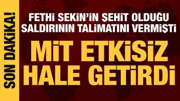 Fethi Sekin'in şehit olduğu saldırının talimatını vermişti: MİT etkisiz hale getirdi