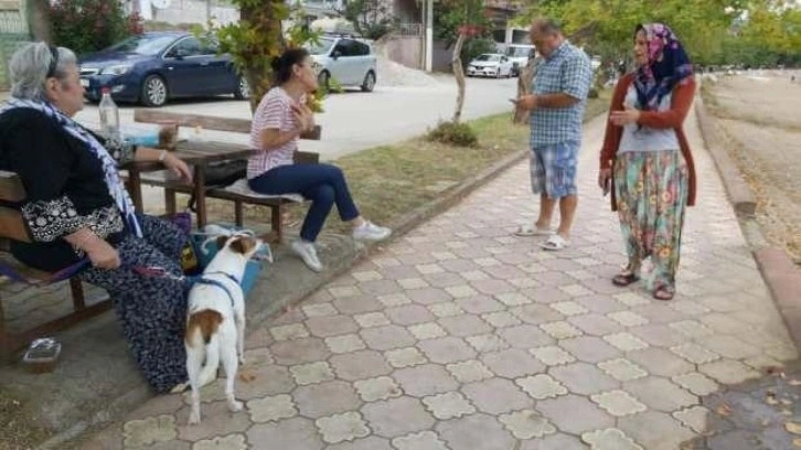 Genç kız köpeğin saldırısına uğradı