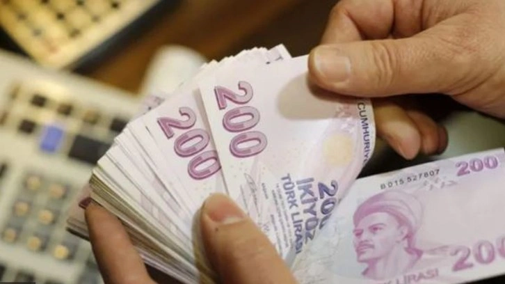 Geri ödemesiz 250 bin lira hibe desteği verilecek: Başvurular bugün başlıyor