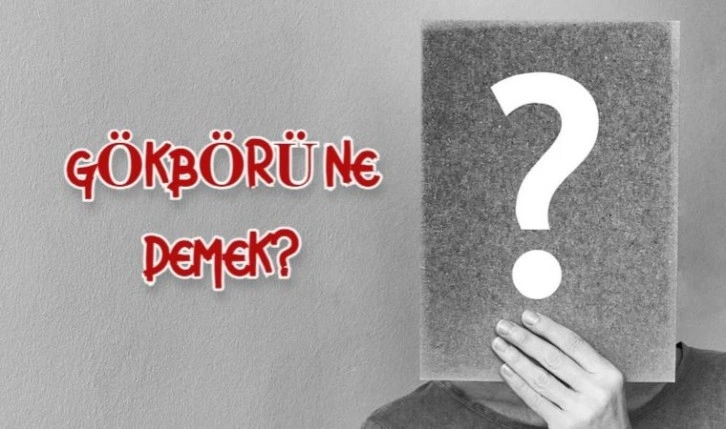 Gökbörü ne demek, ne anlama geliyor? Gökbörü kime denir? Gökbörü hangi destanda geçiyor?