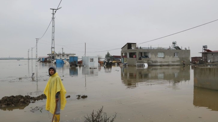 Göle dönen Amik Ovası’nda evler ve ahırlar su içerisinde kaldı