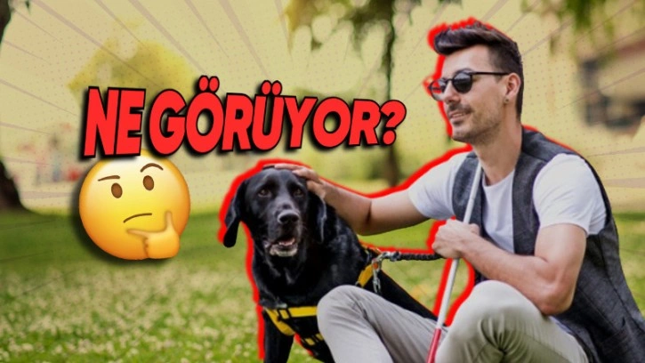 Görme Engelliler Dünyayı Nasıl Görüyor?