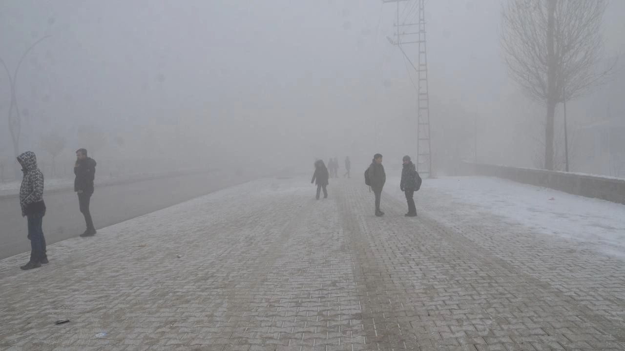 Hakkari'de soğuk hava ve yoğun sis hayatı olumsuz etkiledi