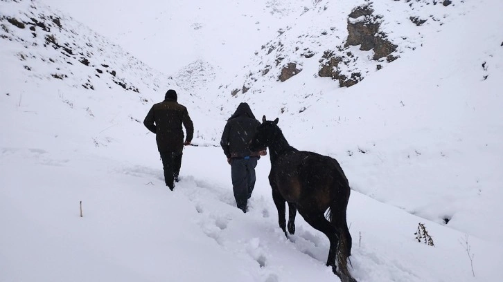 Hakkari’de toynağı kopan at kurtarıldı