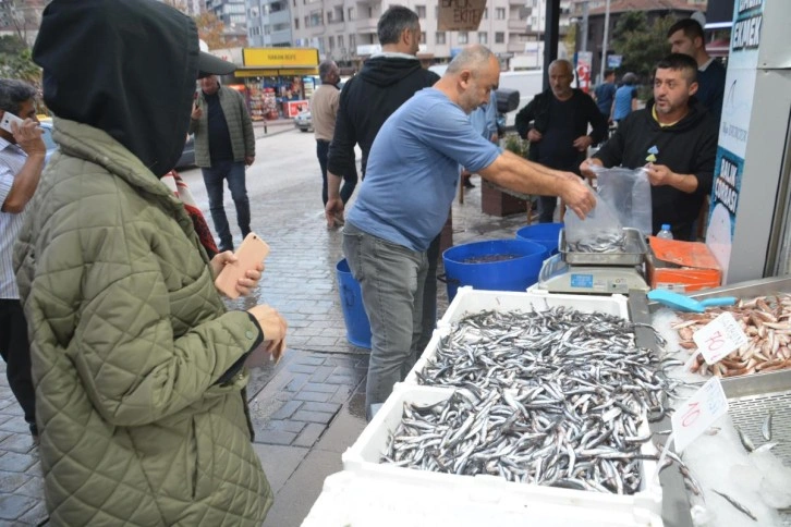 Hamsinin fiyatı 10 liraya düştü! Vatandaşlar tezgahlara akın etti