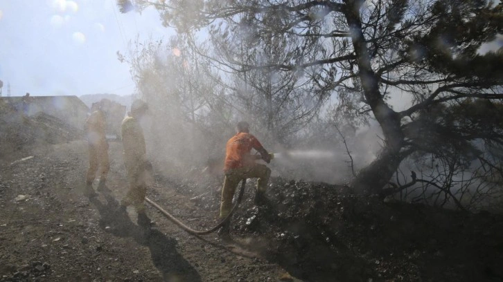 Hatay'da çıkan orman yangını kontrol altına alındı