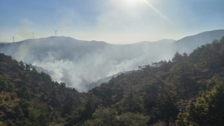 Hatay'da orman yangını!