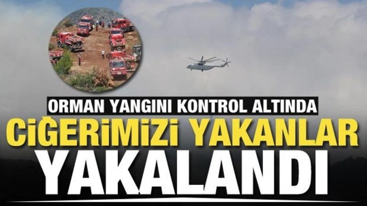 Hatay'da ciğerimizi yaktılar! Valilik orman yangınını çıkartanların yakalandığını açıkladı