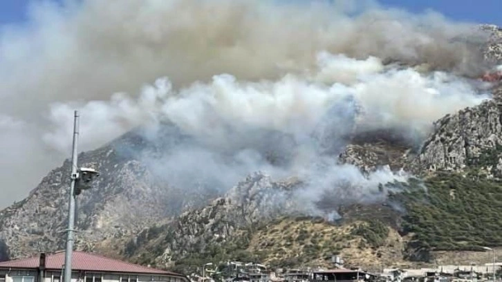 Hatay'da makilik alanda yangın!