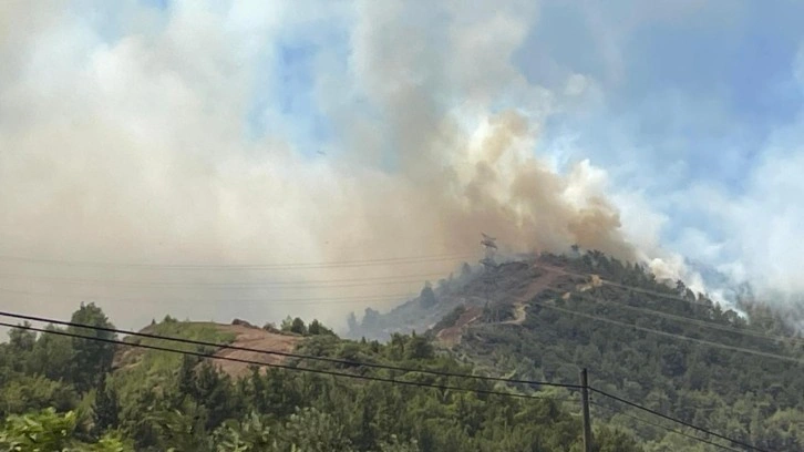 Hatay'da orman yangını çıktı... Havadan ve karadan müdahale ediliyor