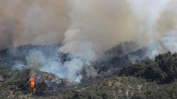 Hatay'da orman yangını