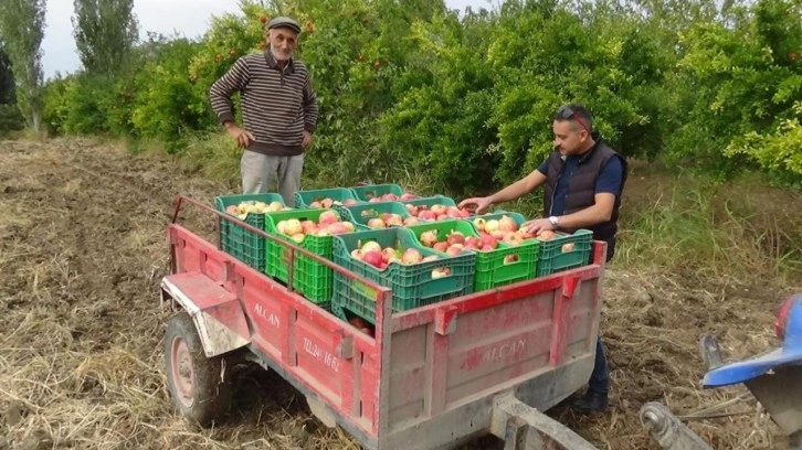 Havran Nar’ında hasat dönemi