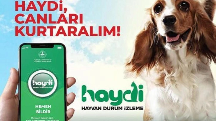 HAYDİ uygulamasını 2 yılda 227 bin 400 kişi indirdi