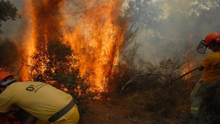 Haziran'da ağustos sıcağı yaşandı! Orman yangınları geçen yıla göre yaklaşık 5 kat arttı