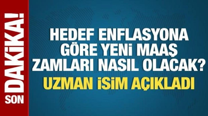 Hedef enflasyona göre yeni maaş zamları nasıl olacak? Uzman isim Haber7'ye açıkladı