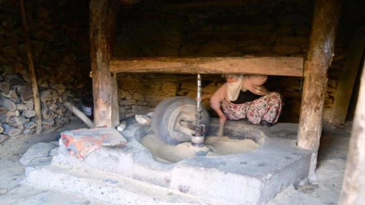 Hizan’da üretilen çeltik, asırlık su değirmeninde öğütülüyor