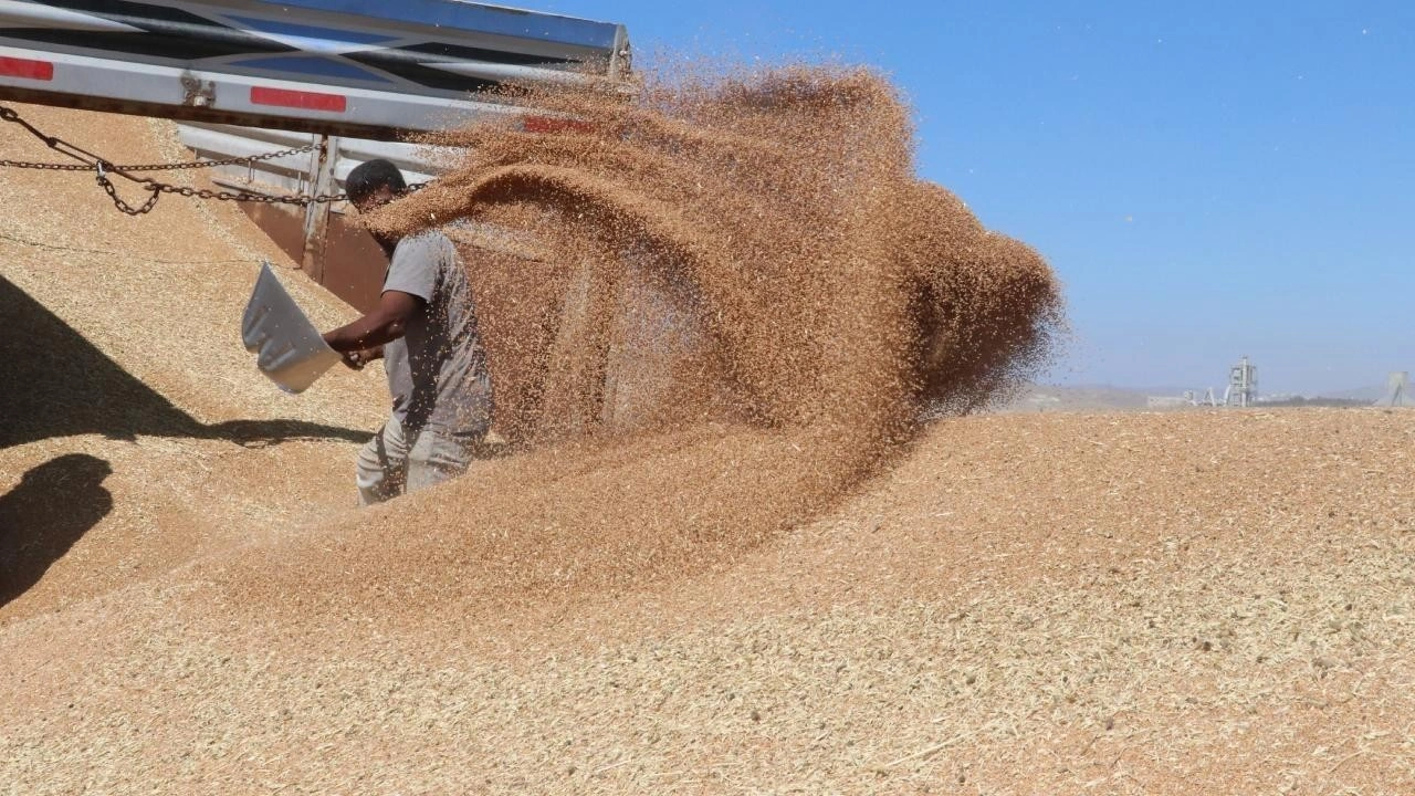 Hububat ve bakliyat ihracatı 9 milyar dolara yaklaştı