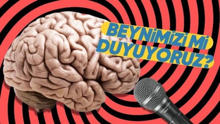 İçimizde Duyduğumuz Kendi Sesimizi Nasıl İşitebiliyoruz?