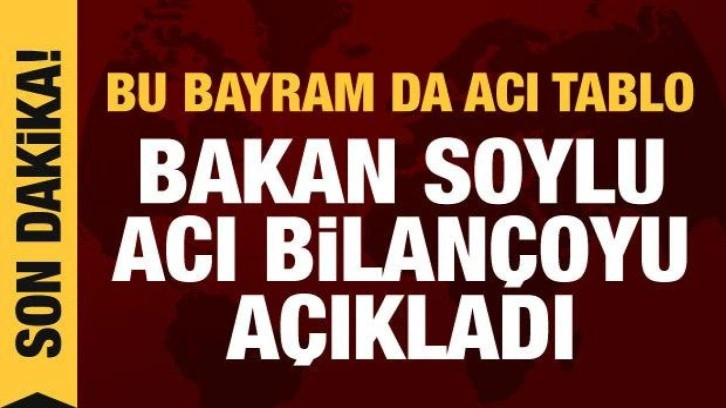 İçişleri Bakanı Soylu acı bilançoyu açıkladı: 25 kaybımız var