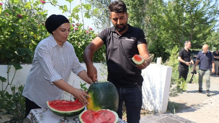 Iğdır'da üretilen karpuzun dördüncü hasadı başladı