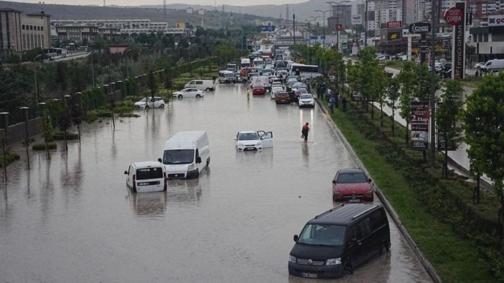 İklim değişikliğine bağlı afetler biyoçeşitliliği tehdit ediyor