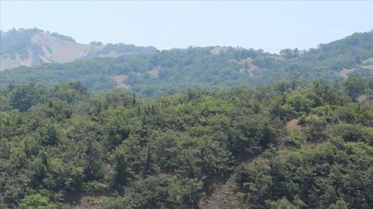 İstanbul'un Şile ilçesindeki bazı alanlar orman sınırları dışına çıkartıldı