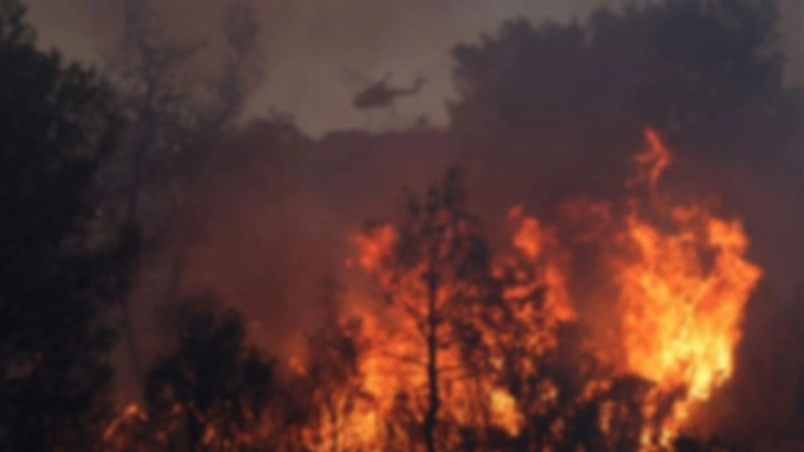 İzmir'de orman yangını çıktı! Uçaklar, helikopterler bölgeye sevk edildi