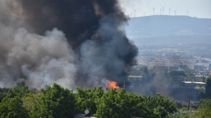İzmir'de palet atölyesinde çıkan yangın otluk alana sıçradı