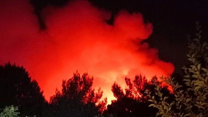 İzmir'deki orman yangını 22 saat sonra kontrol altına alındı