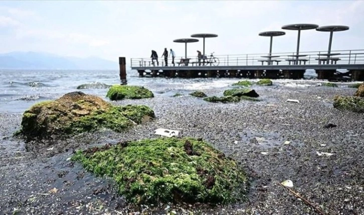 İzmir Körfezi için müsilaj uyarısı