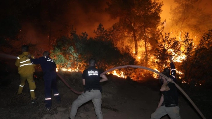 İzmir ve Muğla'daki orman yangınlarında yeni tutuklama