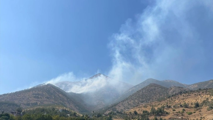 Kahramanmaraş'ta orman yangını çıktı