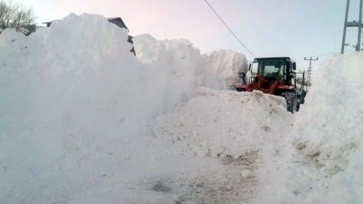 Kar ve tipi Ardahan Posof’u esir aldı!