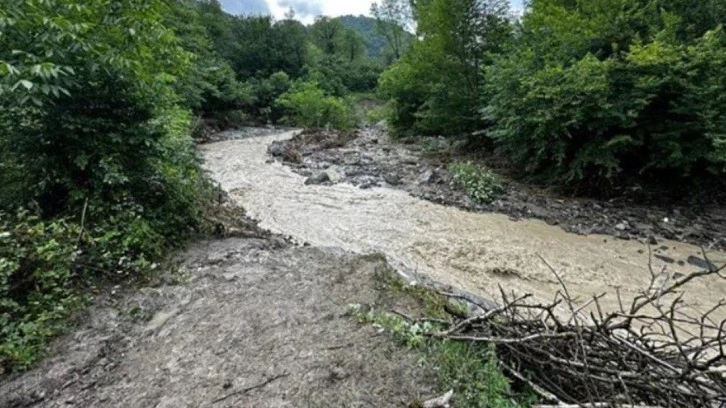 Karadeniz'de fırtınalar ormanları vurdu: Binlerce ağaç hasar aldı